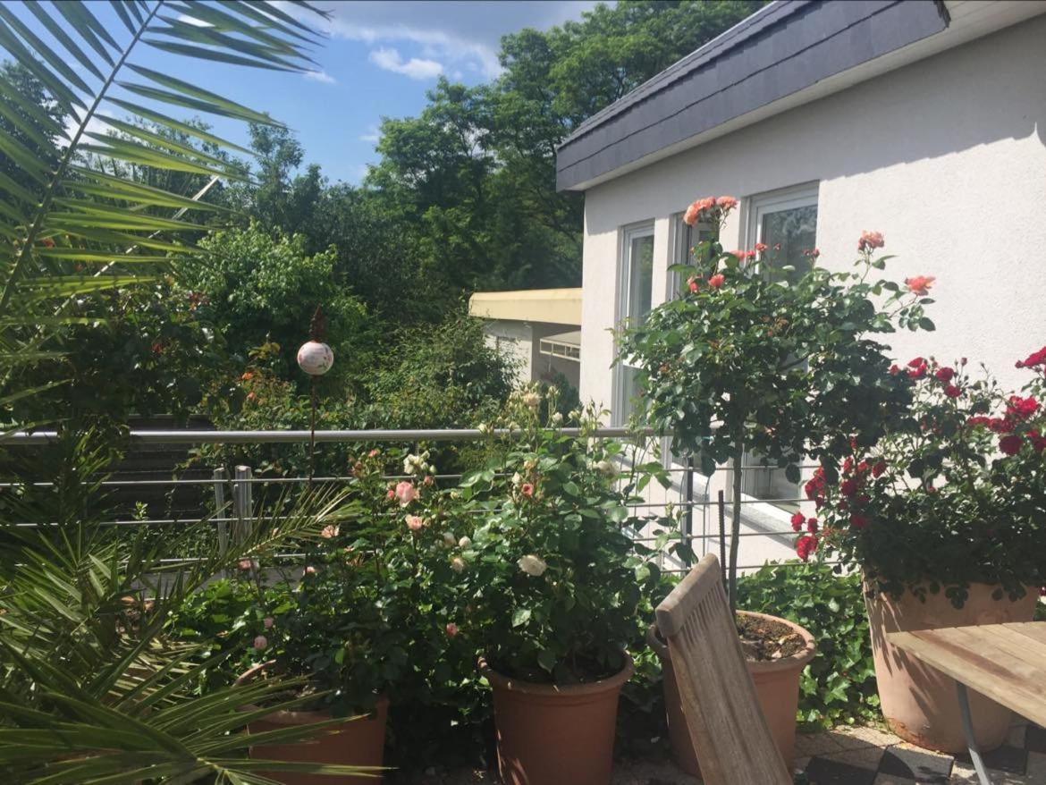 Bei Annemarie Apartment Trier Ngoại thất bức ảnh